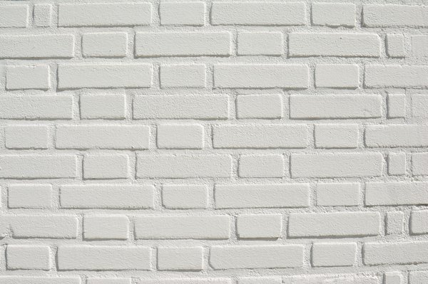 Transformez votre espace extérieur avec la moquette de pierre sur mesure