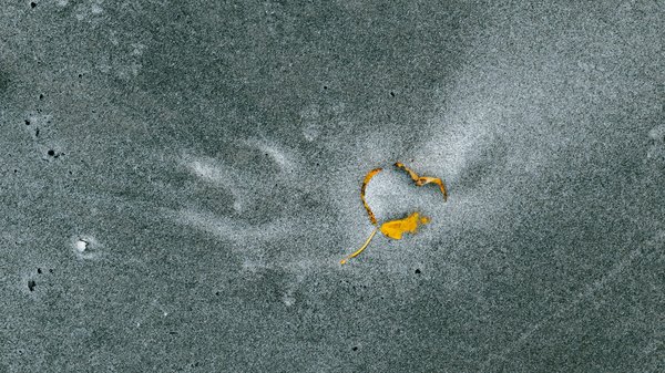 Les meilleures solutions pour l'étanchéité des murs enterrés