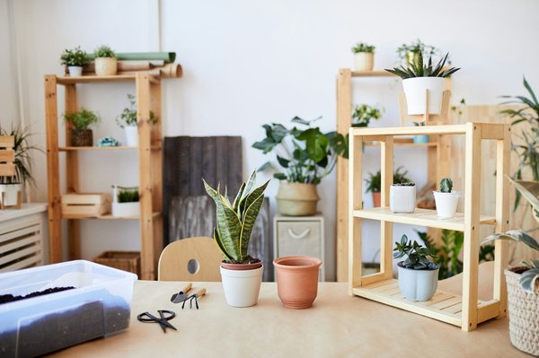 Tendances canapés et mobilier pour votre intérieur et jardin